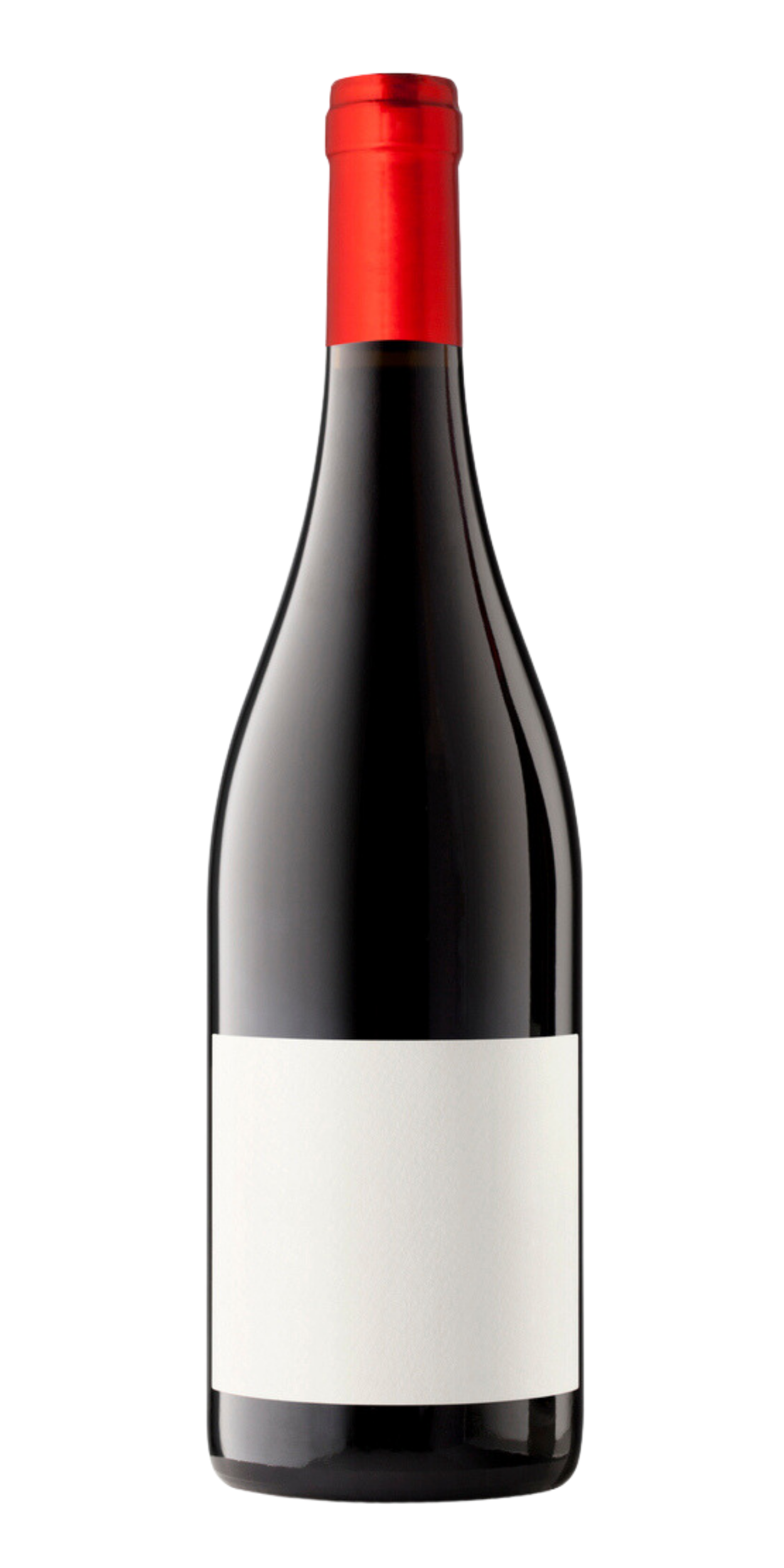DOMAINE ALARYTradition 2021
